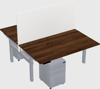 Shared electric desk