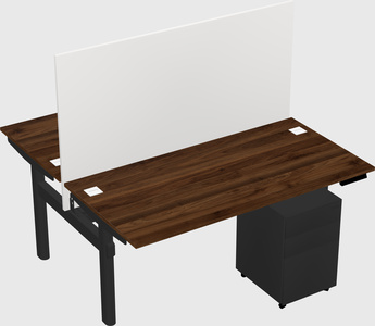 Shared electric desk