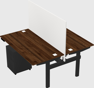 Shared electric desk