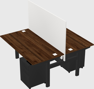 Shared electric desk