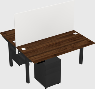 Shared electric desk