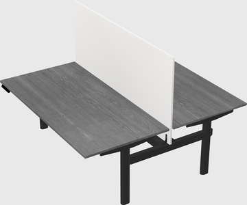 Shared electric desk