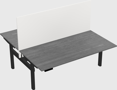 Shared electric desk