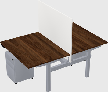 Shared electric desk