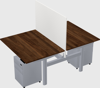 Shared electric desk