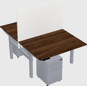 Shared electric desk