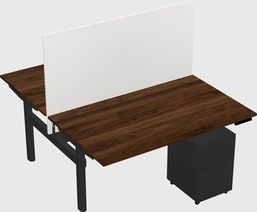 Shared electric desk