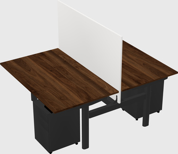 Shared electric desk