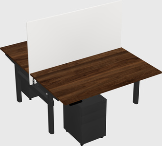 Shared electric desk