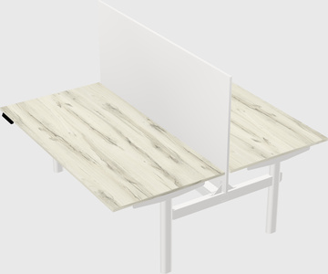 Shared electric desk