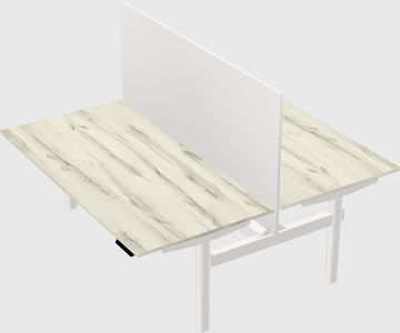 Shared electric desk