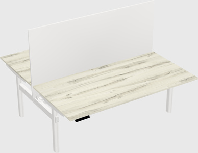 Shared electric desk