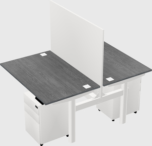 Shared electric desk