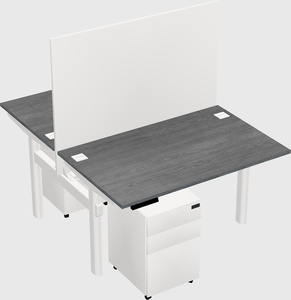 Shared electric desk