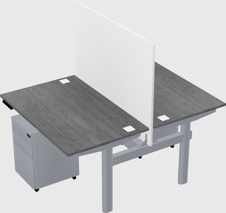 Shared electric desk