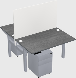 Shared electric desk