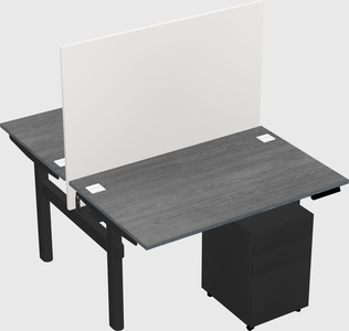 Shared electric desk