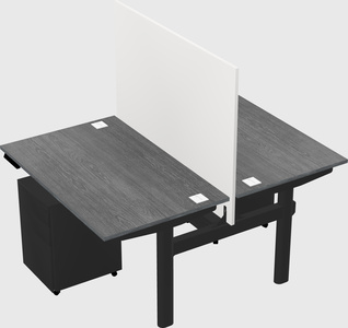 Shared electric desk