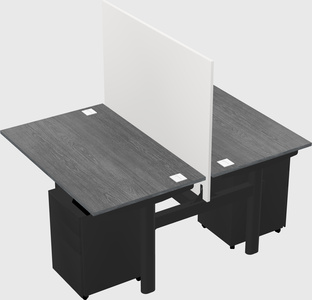 Shared electric desk