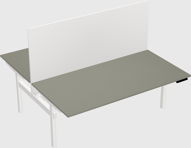 Shared electric desk