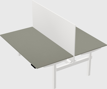 Shared electric desk