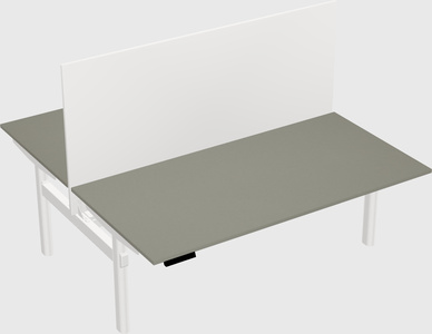 Shared electric desk