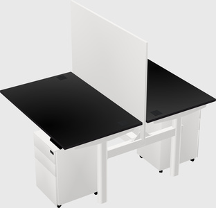 Shared electric desk