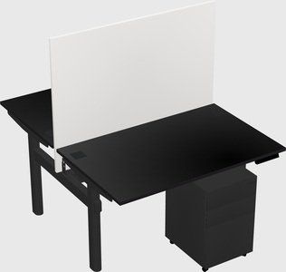 Shared electric desk