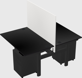 Shared electric desk