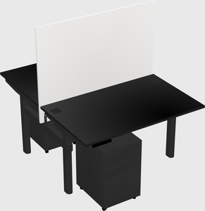 Shared electric desk