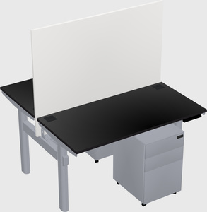 Shared electric desk