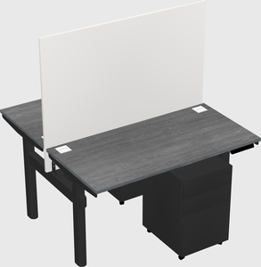Shared electric desk