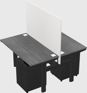 Shared electric desk