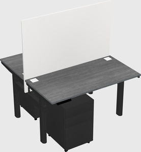 Shared electric desk