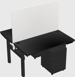 Shared electric desk