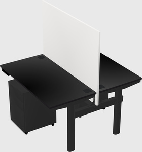 Shared electric desk