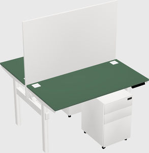 Shared electric desk