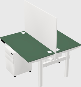Shared electric desk