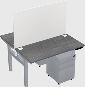 Shared electric desk