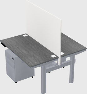 Shared electric desk
