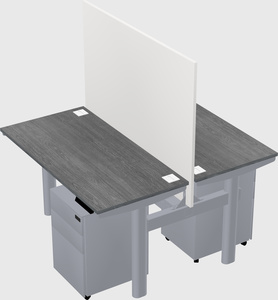 Shared electric desk