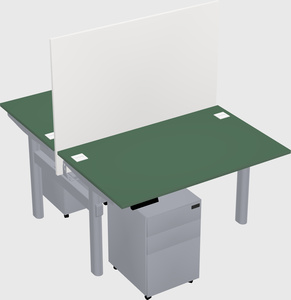 Shared electric desk