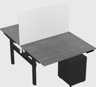 Shared electric desk