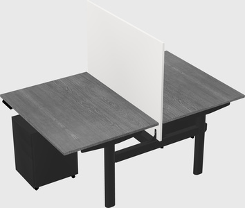 Shared electric desk