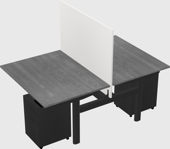 Shared electric desk