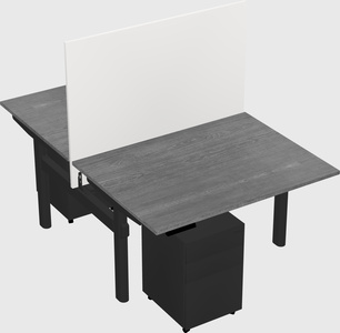Shared electric desk