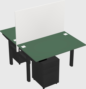 Shared electric desk