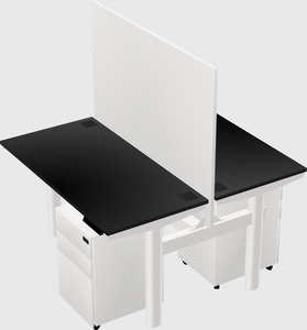 Shared electric desk