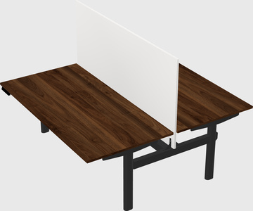 Shared electric desk