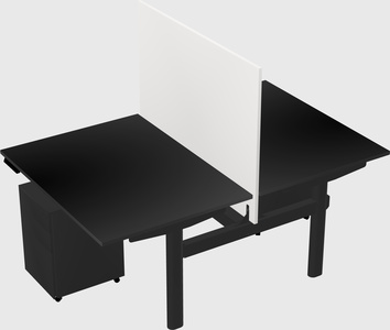 Shared electric desk